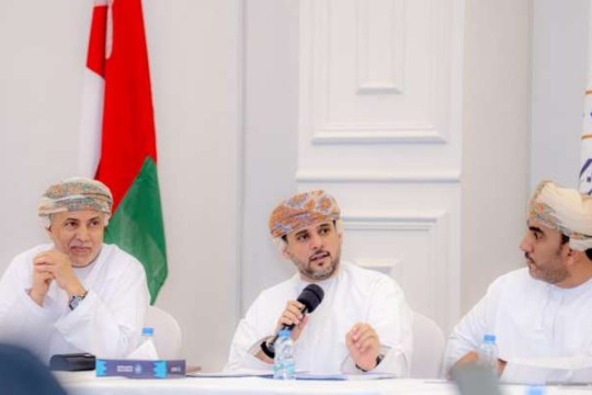 Workshop discusses executive regulations for special economic and free zones