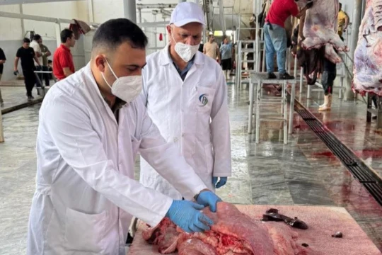 Iraq increases veterinary inspections amid CCHF outbreak -Iraq