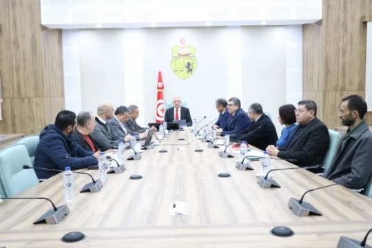 Digitalization of healthcare: an interview with Ferjani-Ben Dhiab-Tunisia