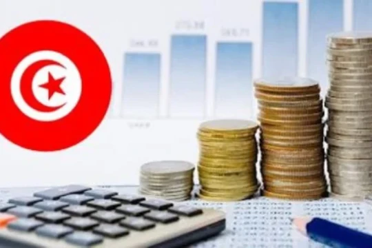 Open Budget Index 2025: Mixed performance-Tunisia