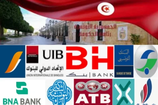 State engages in crowding out and pushes private sector out of credit market