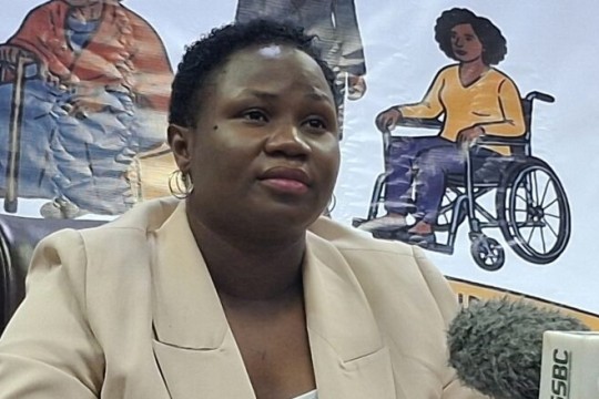 Minister calls for 10% gender budget in South Sudan-Sudan