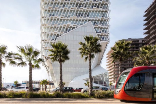 Morocco Treasury Financing Needs Fall to MAD 15.5 Billion in January 2026-Morocco