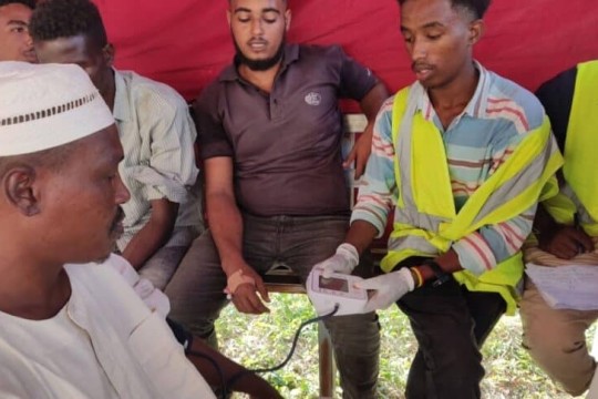 Sudan health ministry reports dengue fever surge in seven states