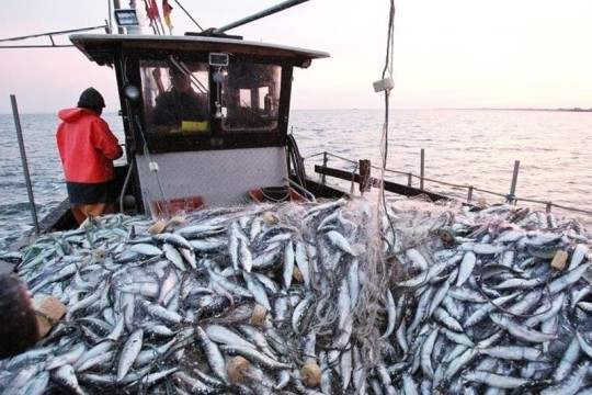 Russia begins new fishing operations in Moroccan waters under updated agreement