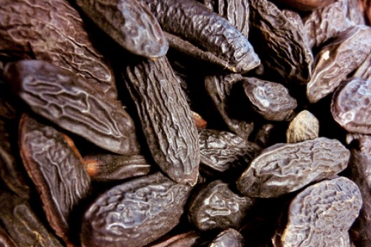 LMR Unveils Tonka Bean CO₂ Absolute: Gourmand Excellence from Planet-Friendly Extraction