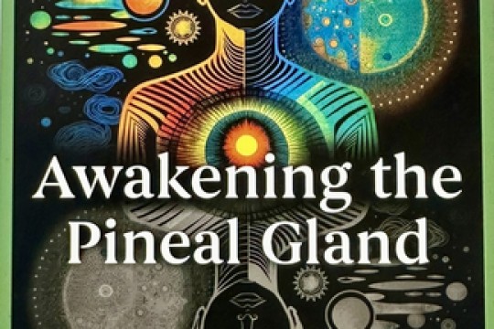 SERI Lugano Launches International Scientific Outreach Initiative on Light-Based Neuroscience and Pineal Gland Research