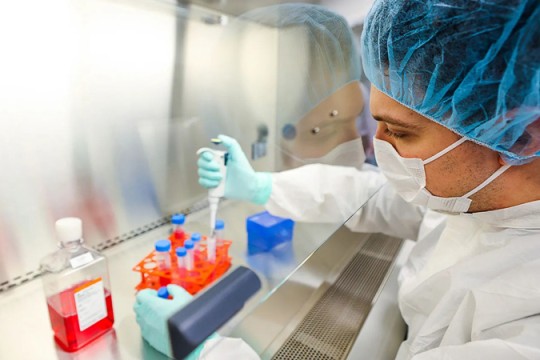 Californian scientists create cancer-fighting cells in body, says study