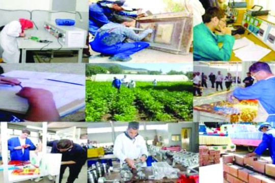 Creation of SMEs-SMIs: A private finance fund to be set up soon-Algeria