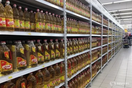 Egypt planning deals and price measures after devaluation, PM says-Egypt