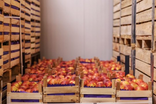 Construction of cold rooms: Interest-free loans for farmers