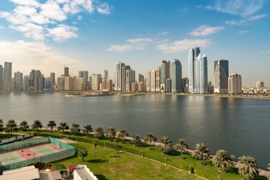 UAE real estate sees steady growth in projects, record transactions in 2024-UAE