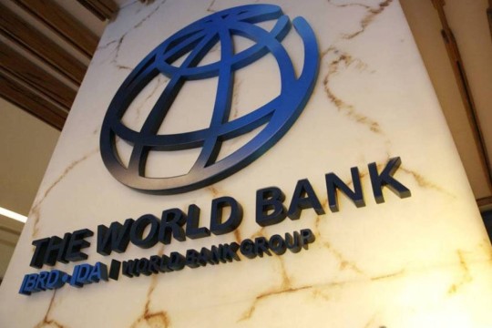 Economists see slower growth but greater global resilience-Qatar