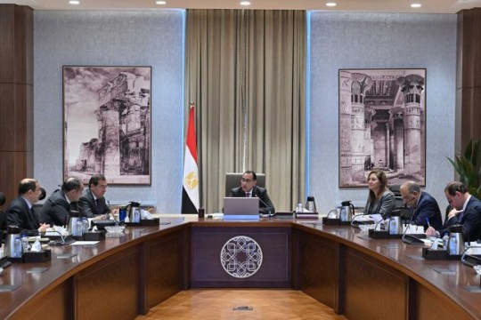 Madbouly urges government to quickly launch projects for private sector with promotional plan