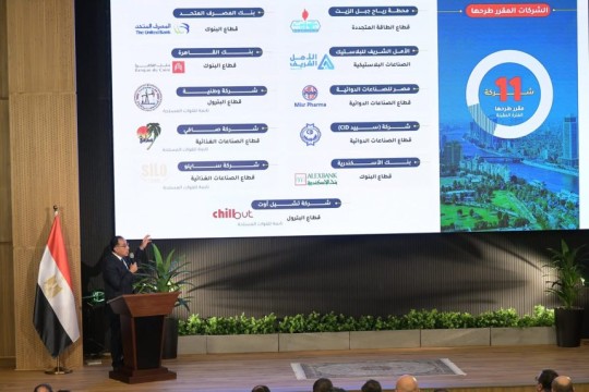 Egypt to list 10 public entities by 2025, including 4 military-affiliated firms-Egypt