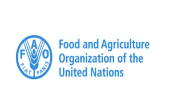 Iran among world’s top 10 countries in exporting 11 products