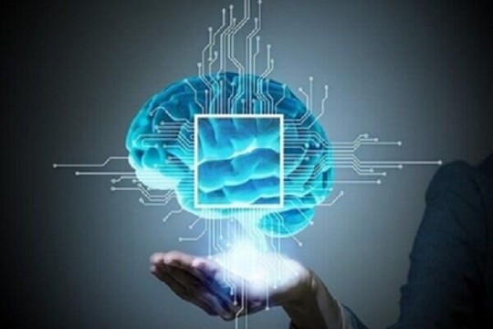 Iran among top two countries in cognitive sciences among Islamic nations-Iran