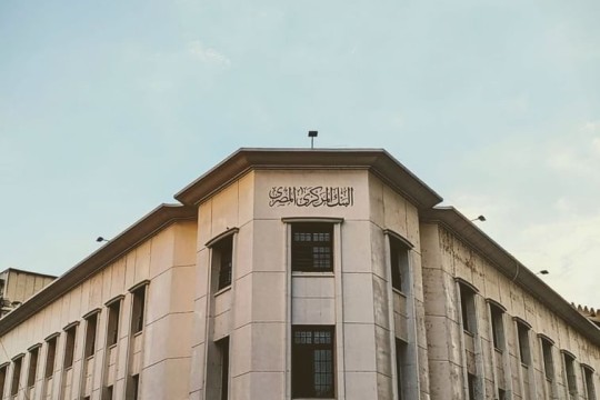 Egyptian expat remittances up 42.8% in first 10 months of 2025