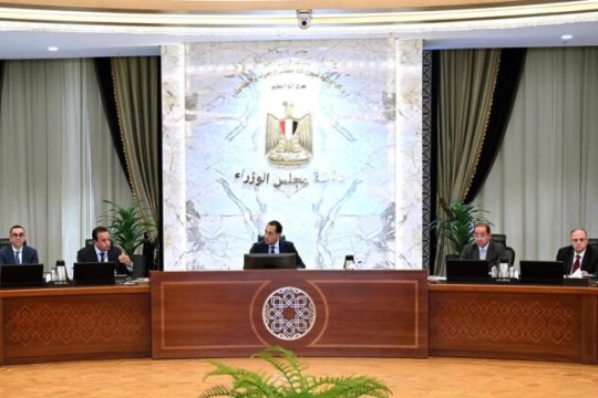 Madbouly reviews strategy to localize pharmaceutical industry, ensure drug supply