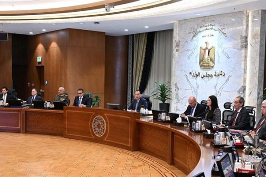 Cabinet grants golden license for New Alamein silicon project