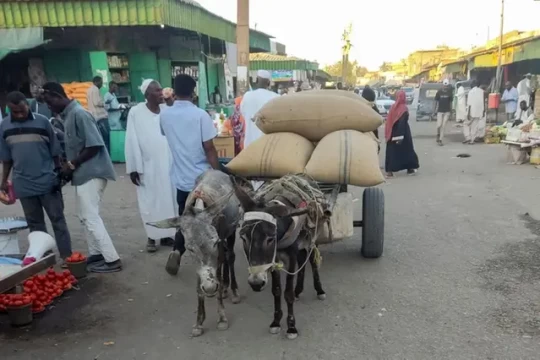 Economy another victim of war in impoverished Sudan-Sudan