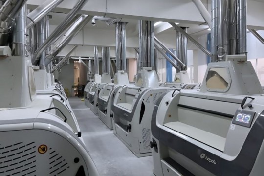 Alapala Delivers Turnkey Semolina Plant for Imandy Mills in Morocco