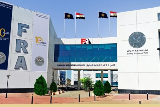 EGP 84.7bn in non-banking finance for MSMEs in July 2025: FRA