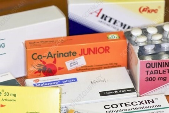 Central Darfur: Unauthorized medicine sales on the rise in Zalingei-Sudan