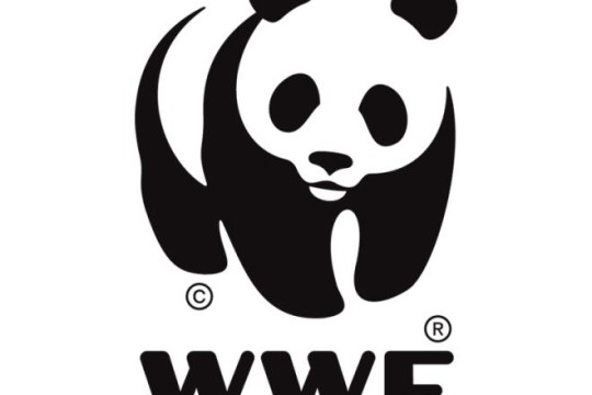 WWF Adopt a Beach: Some 144,760 items of waste and objects identified on Tunisian beaches-Tunisia