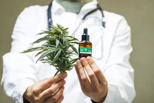 Study: Morocco has strong potential to build medical cannabis drug industry-Morocco