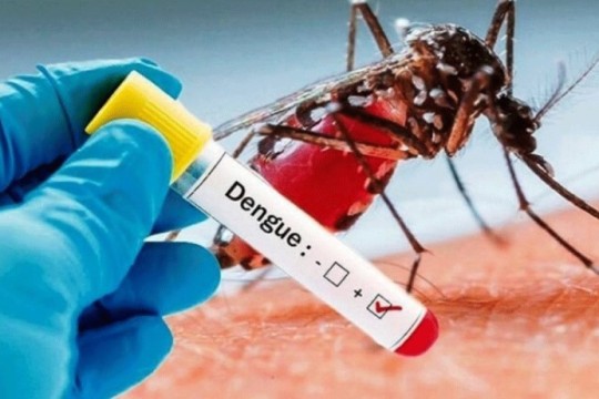 Dengue fever outbreak worsens in Khartoum Bahri amidst healthcare collapse-Sudan