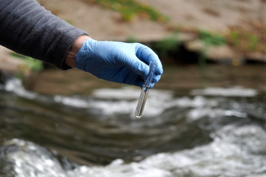 WHO affirms cholera threat in Lebanon as displaced populations grow -Lebanon