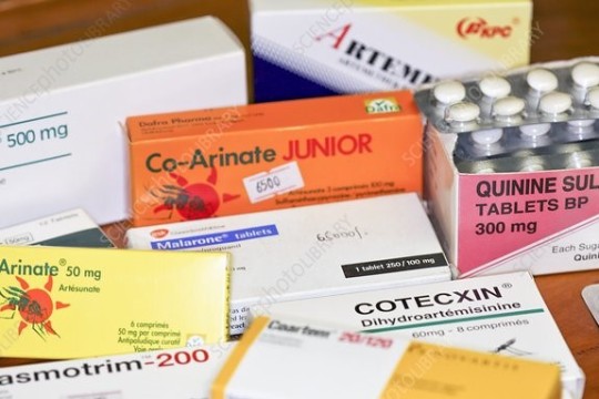 Caution to importers of medical drugs in Western Bahr el Ghazal-Sudan