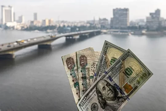 Egypt GDP growth will slow to 3.2% this year, before recovering, says OECD-Egypt