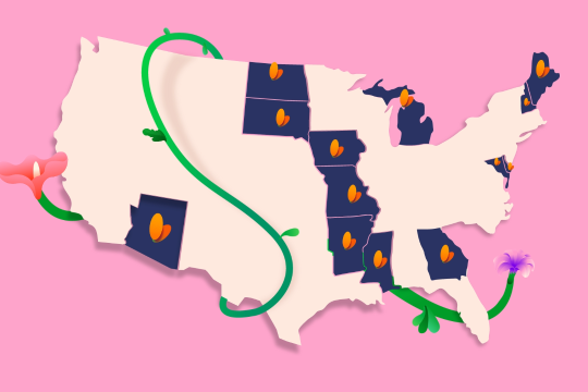 Flutterwave secures 13 new money transmission licenses in the U.S.-Algeria