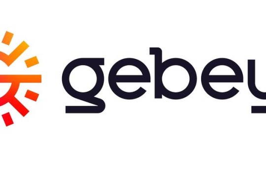 Gebeya partners with InterNetX to enable local domain registration in Africa