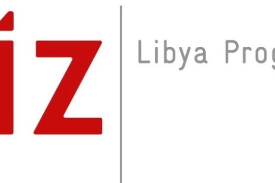 Solar PV training for 14 REAoL and GECOL technicians held in Tunisia