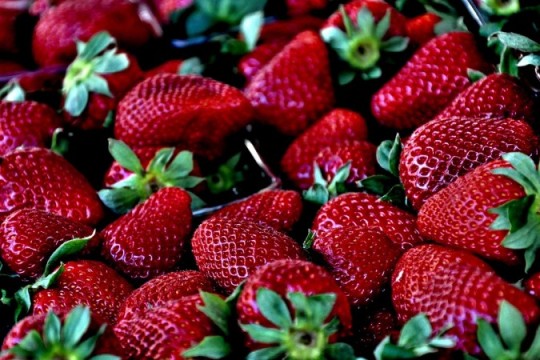 Hepatitis A: Spanish Health Authorities Persist in Warning Against Moroccan Strawberries-Morocco