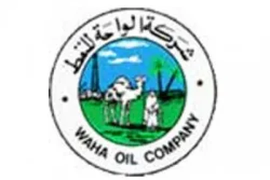 Pakistan’s Lucky Cement and PIB discuss establishing 2.5 million tons per year cement factory in Khoms