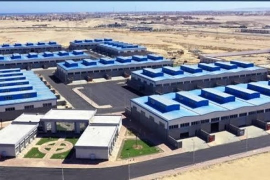 Bahrain to ban kingfish fishing and selling for two months