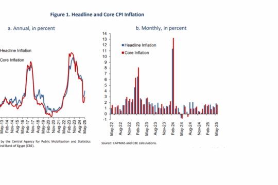 Annual urban inflation rises to 16.8% in May 2025: CBE-Egypt