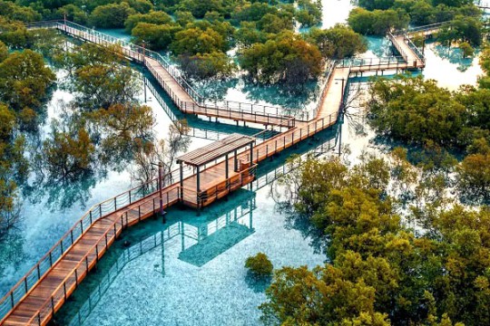 NMDC lands Jubail Island channel widening works contract