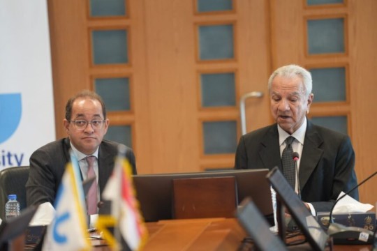 Egypt’s tax revenues rise by EGP 600bn as private sector boosts investment in FY 2024/25