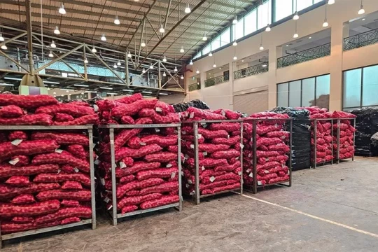 ‘No onion crisis in Kuwait market’