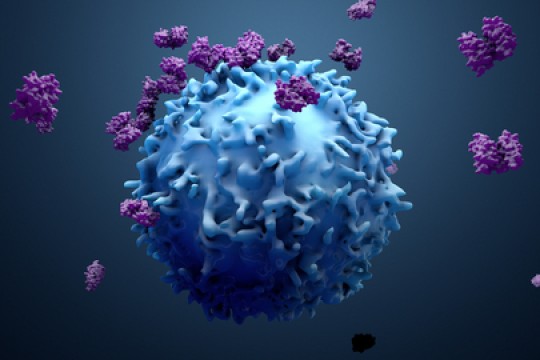 GE HealthCare Announces New Data Validating Artificial Intelligence Models for Predicting Patient Response to Immunotherapies