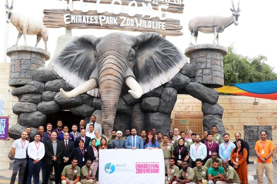 Emirates Park Zoo and Resort welcomed into WAZA family, signifying commitment to protecting wildlife