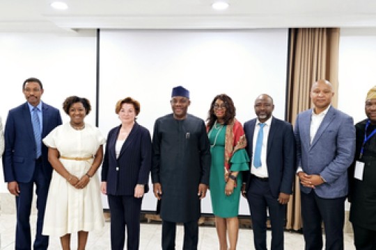 Milken Institute Scales Up Engagement with Africa through New Business Council