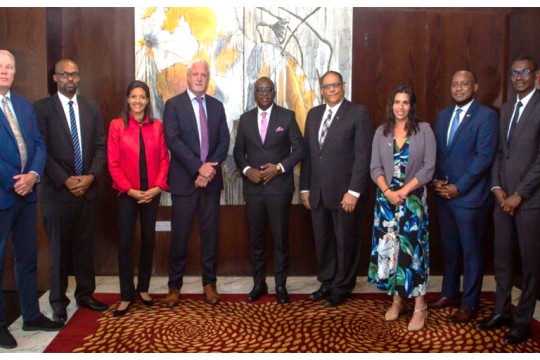 Lifezone Metals Initiates Process for Risk Insurance with U.S. International Development Finance Corporation for the Kabanga Nickel Project in Tanzania