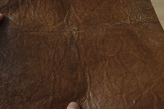 Bio-Engineering Scale-Up Qorium Showcases Cultivated Leather Breakthrough, Signalling a Key Step Towards Commercialisation