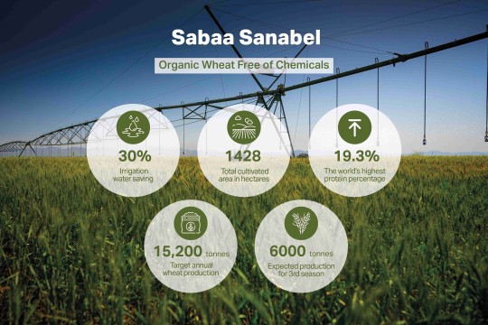 Sharjah Breaks Global Record in Nutrition Quality Thanks to Innovative Food Techniques